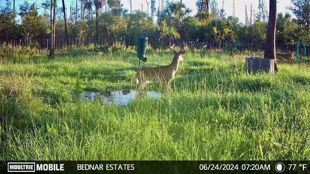 En Venta: $139,000 (9.74 acres)