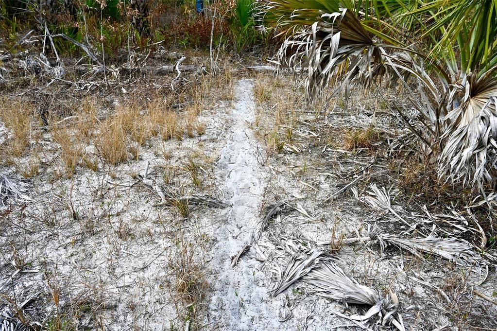 En Venta: $139,000 (9.74 acres)