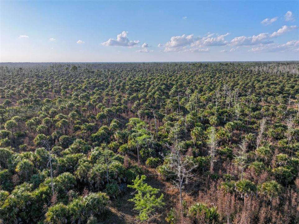 En Venta: $139,000 (9.74 acres)