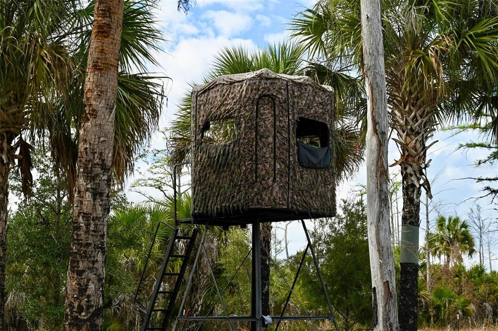 En Venta: $139,000 (9.74 acres)