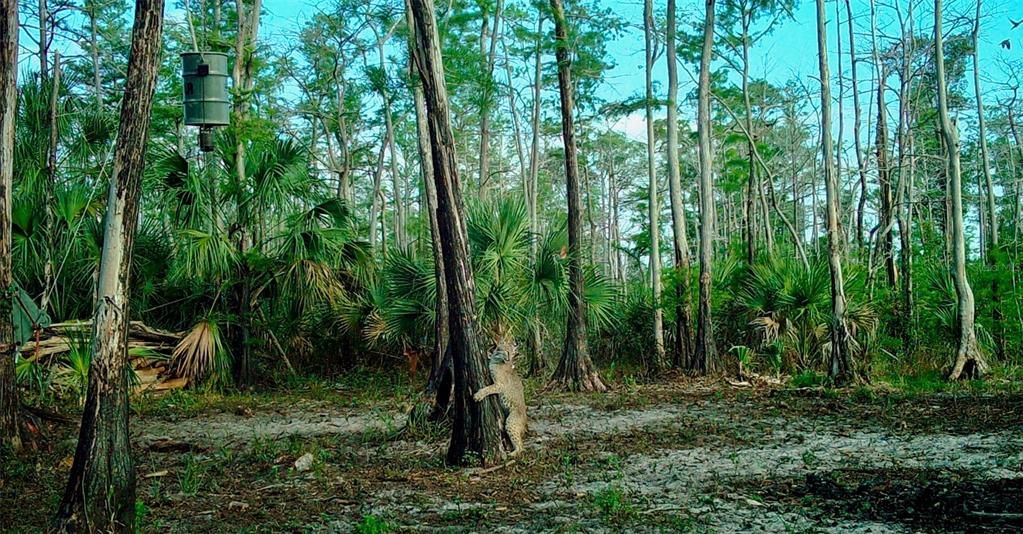 En Venta: $139,000 (9.74 acres)