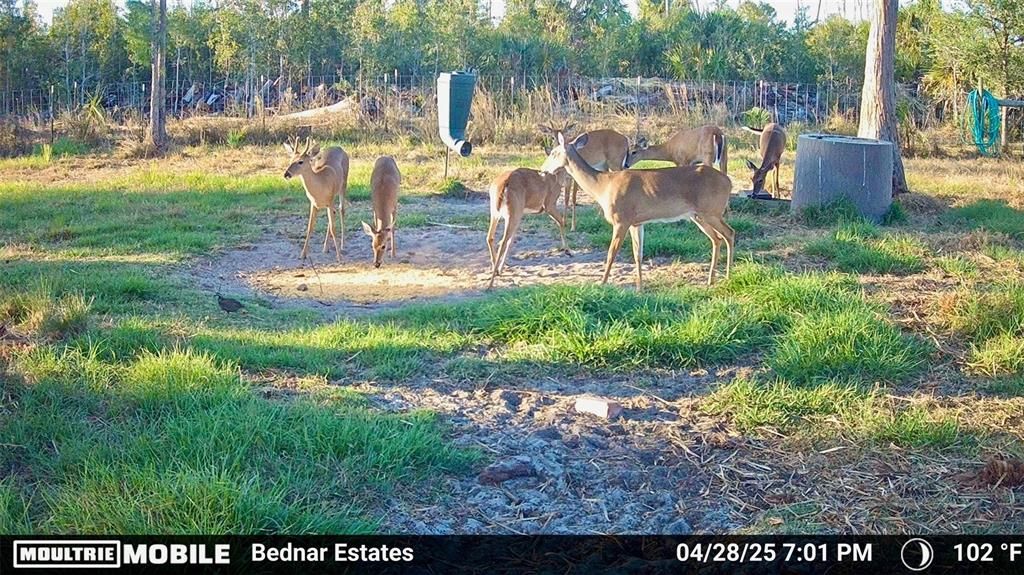 En Venta: $139,000 (9.74 acres)