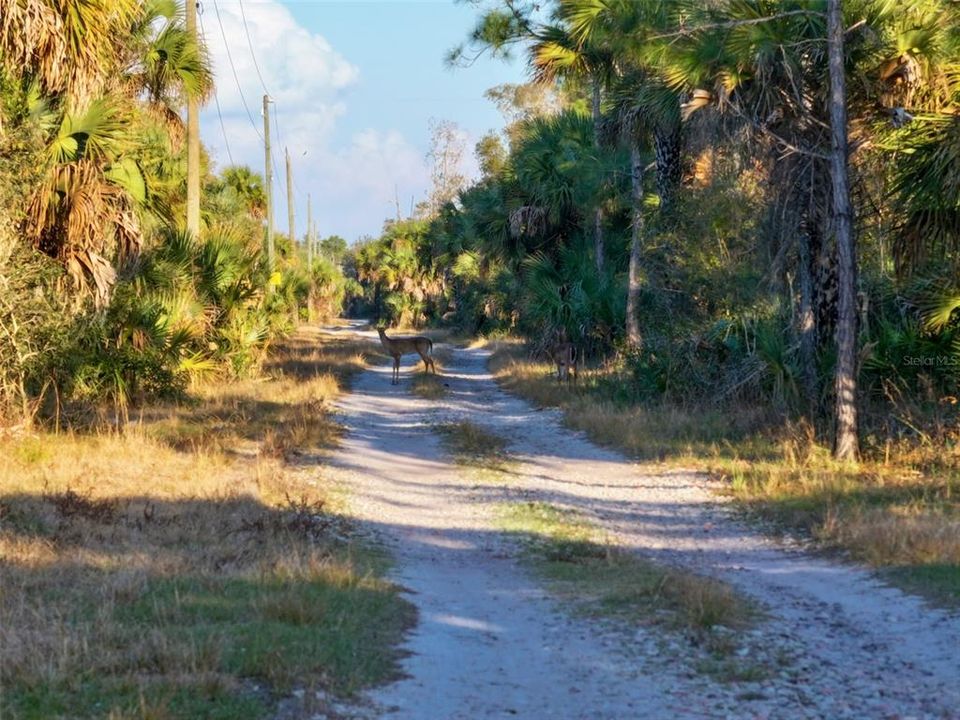 En Venta: $139,000 (9.74 acres)