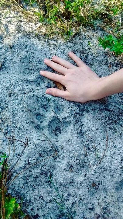 En Venta: $139,000 (9.74 acres)