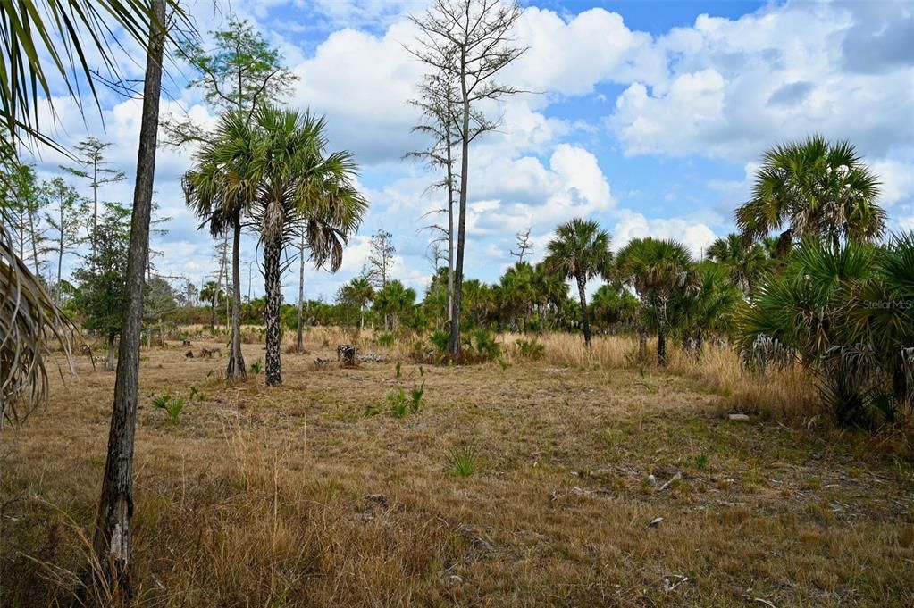 En Venta: $139,000 (9.74 acres)