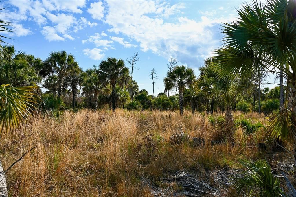 En Venta: $139,000 (9.74 acres)