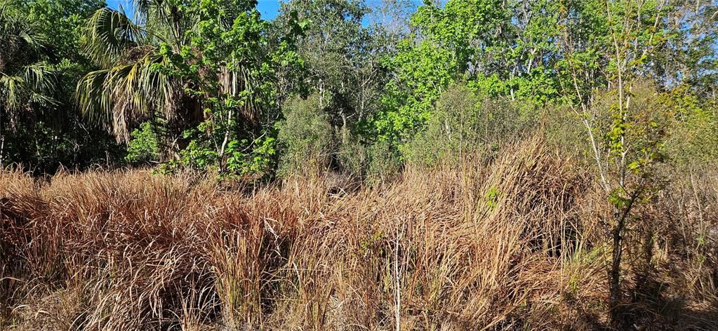 待售: $43,000 (4.34 acres)