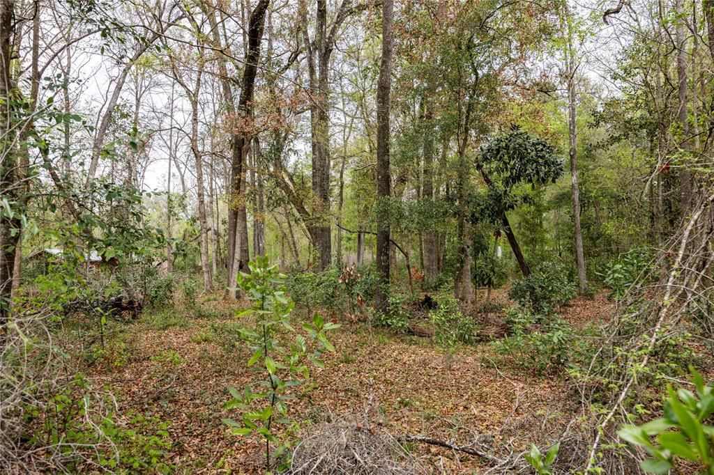 待售: $40,000 (0.91 acres)