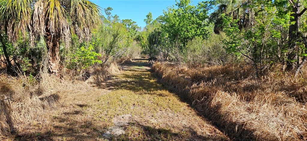 待售: $65,000 (6.50 acres)