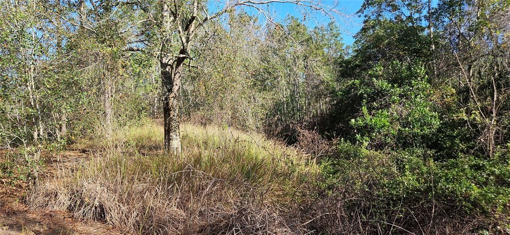 待售: $65,000 (6.50 acres)