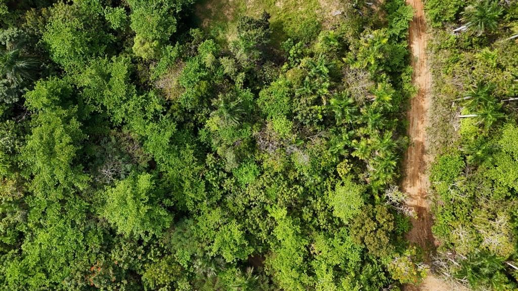 For Sale: $598,000 (0.51 acres)