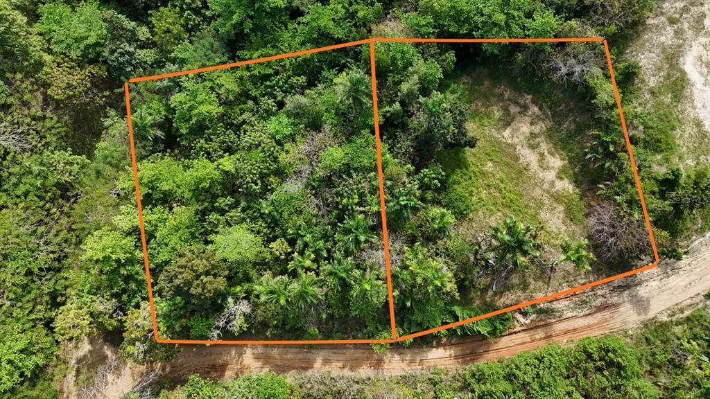 For Sale: $598,000 (0.51 acres)