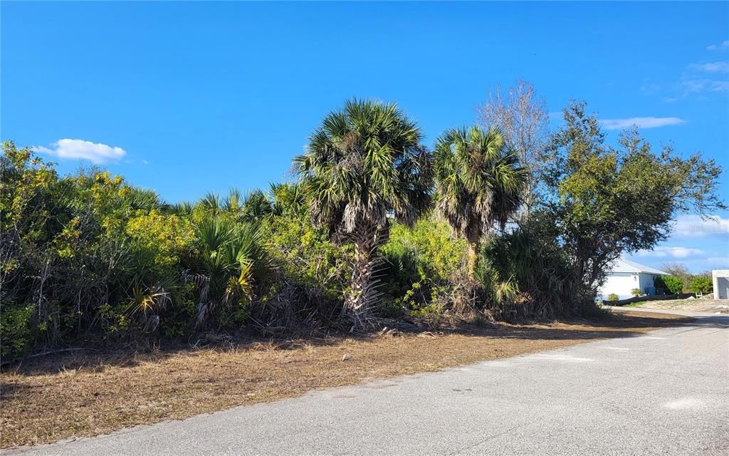 Activo con contrato: $25,000 (0.23 acres)