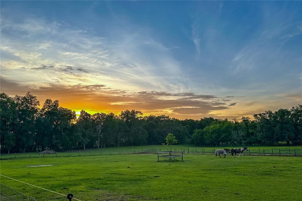 For Sale: $899,000 (3 beds, 2 baths, 1560 Square Feet)