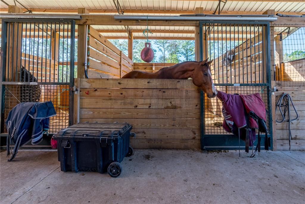 For Sale: $899,000 (3 beds, 2 baths, 1560 Square Feet)