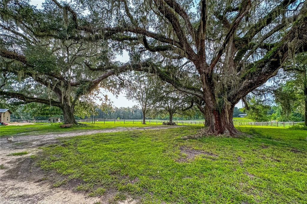 For Sale: $899,000 (3 beds, 2 baths, 1560 Square Feet)