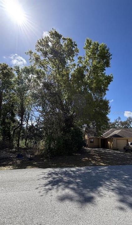 For Sale: $59,000 (0.23 acres)