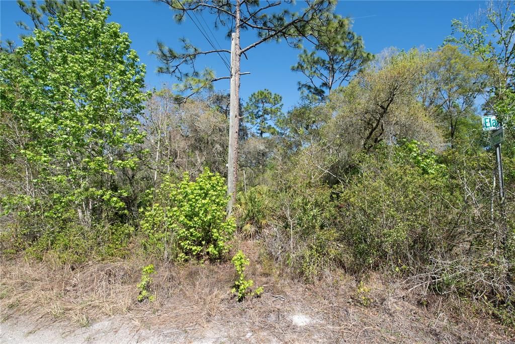 待售: $11,500 (0.18 acres)