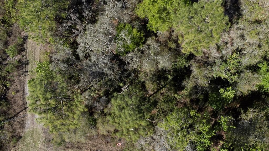 待售: $11,500 (0.18 acres)