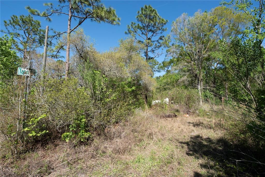 待售: $11,500 (0.18 acres)