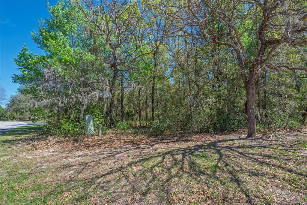 На продажу: $16,500 (0.29 acres)