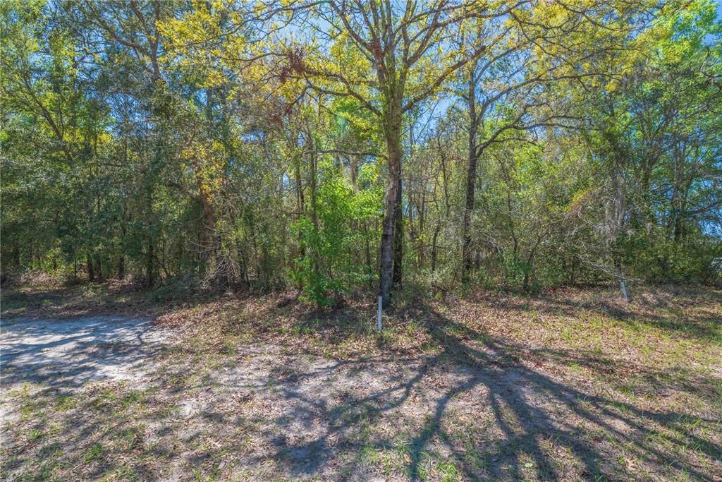 На продажу: $16,500 (0.29 acres)
