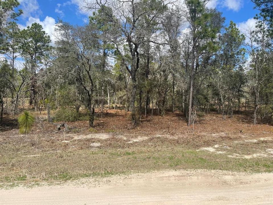 На продажу: $82,000 (1.16 acres)