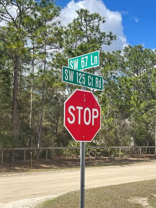 На продажу: $82,000 (1.16 acres)