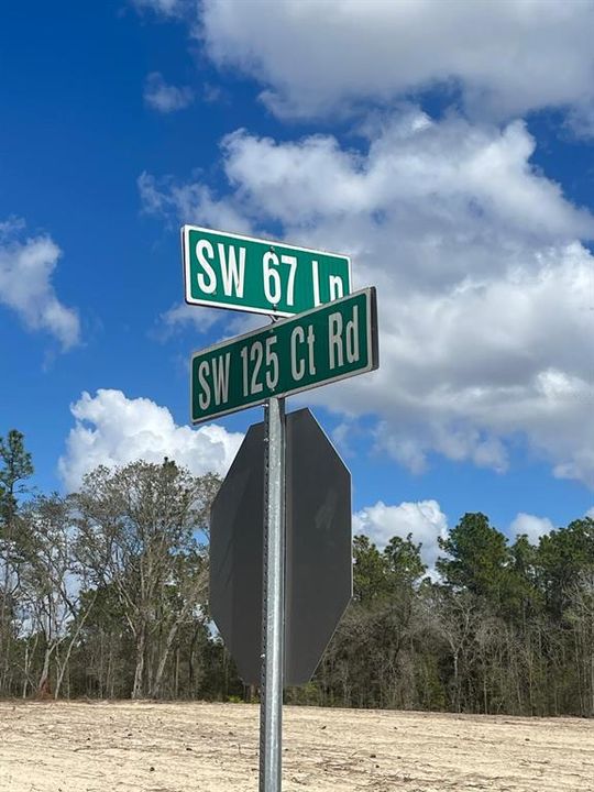 На продажу: $82,000 (1.16 acres)