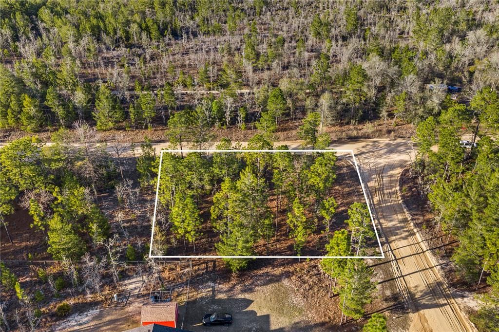 For Sale: $12,800 (0.25 acres)