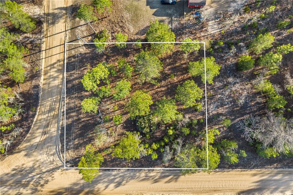 For Sale: $12,800 (0.25 acres)