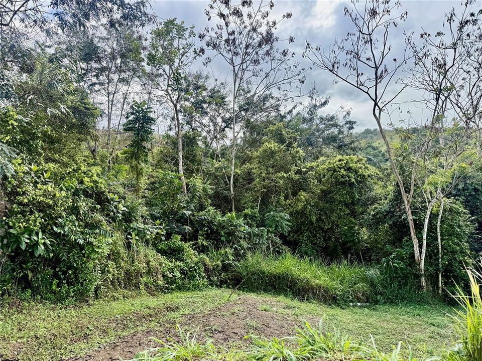 На продажу: $110,000 (1.50 acres)