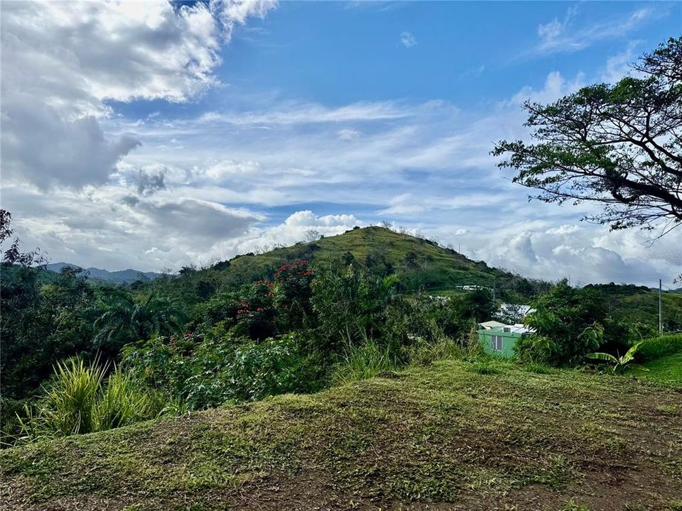 На продажу: $110,000 (1.50 acres)