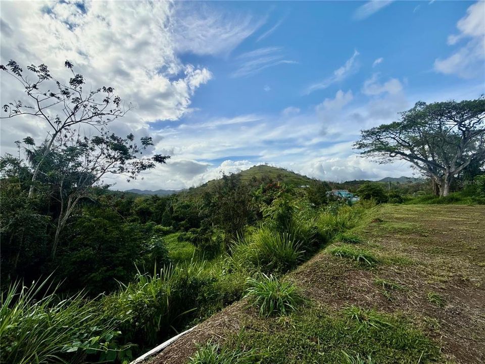 На продажу: $110,000 (1.50 acres)