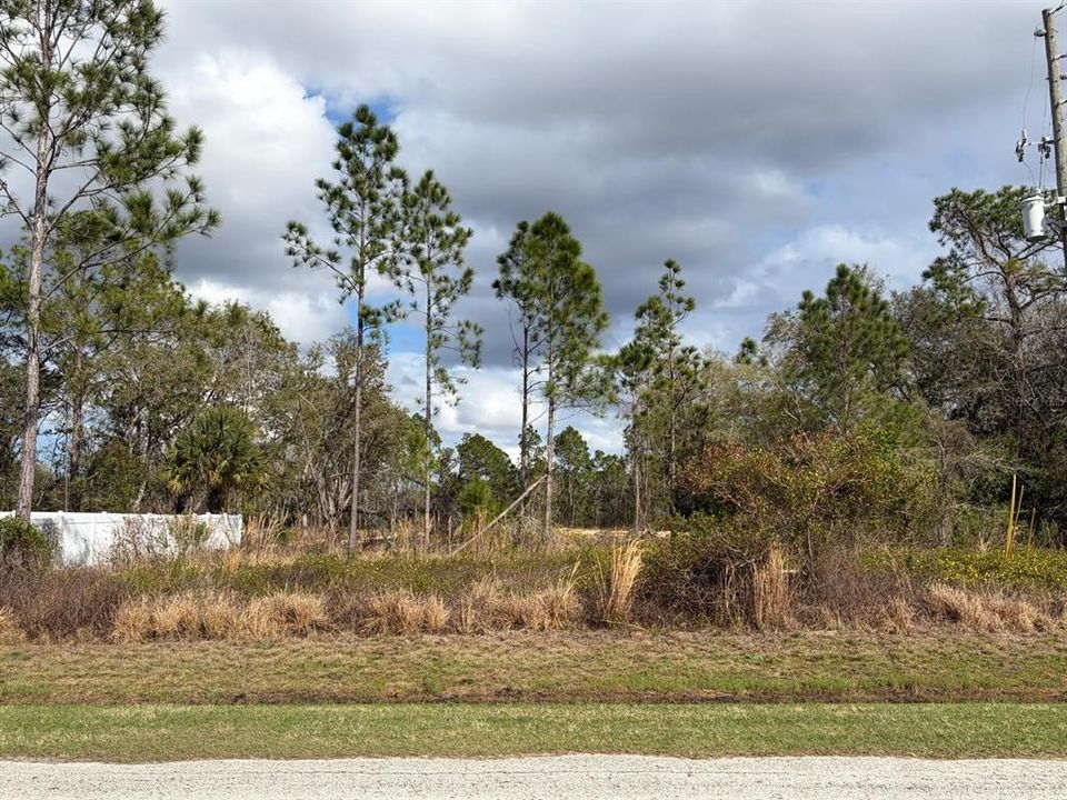 На продажу: $38,000 (0.25 acres)