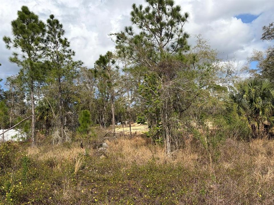 На продажу: $38,000 (0.25 acres)