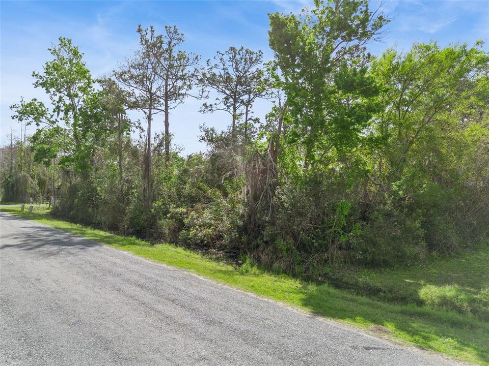 Recently Sold: $50,000 (0.92 acres)