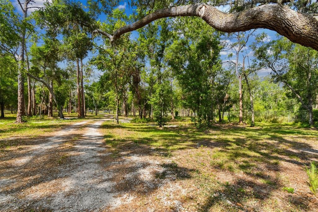 待售: $1,000,000 (11.05 acres)