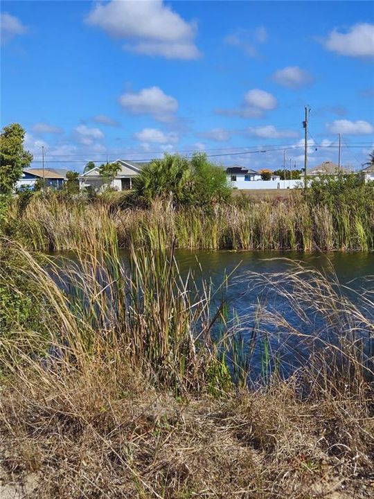 For Sale: $55,000 (0.23 acres)