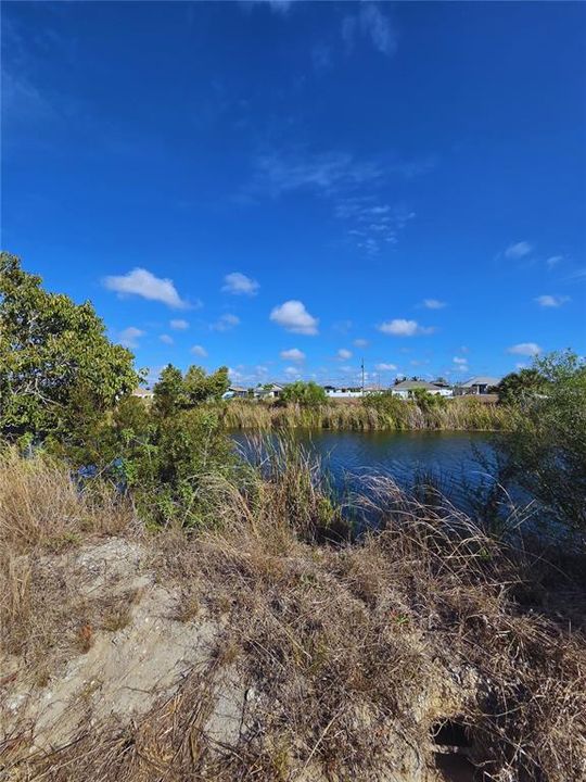 For Sale: $55,000 (0.23 acres)