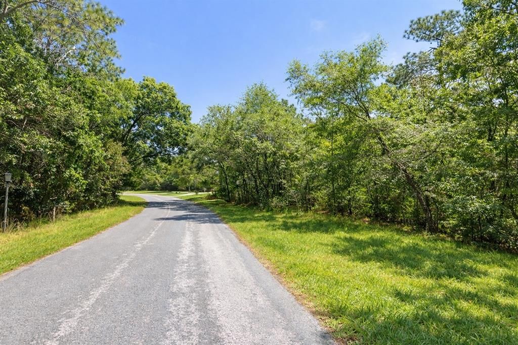 En Venta: $14,082 (0.12 acres)