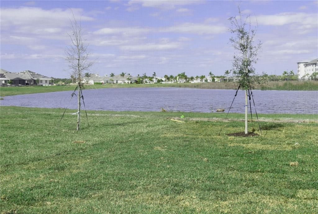 出租: $3,000 (2 贝兹, 2 浴室, 1579 平方英尺)