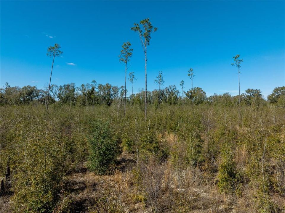 待售: $47,999 (4.97 acres)