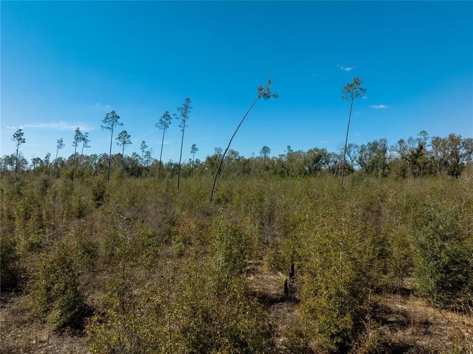 待售: $47,999 (4.97 acres)