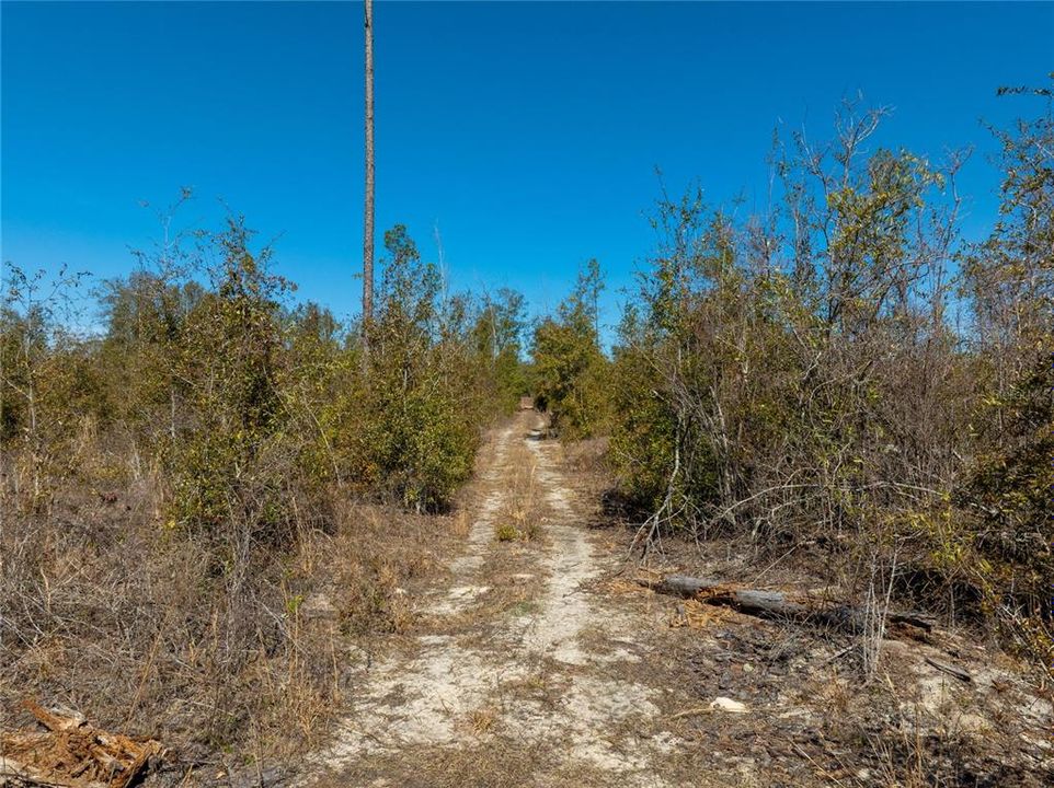 待售: $47,999 (4.97 acres)