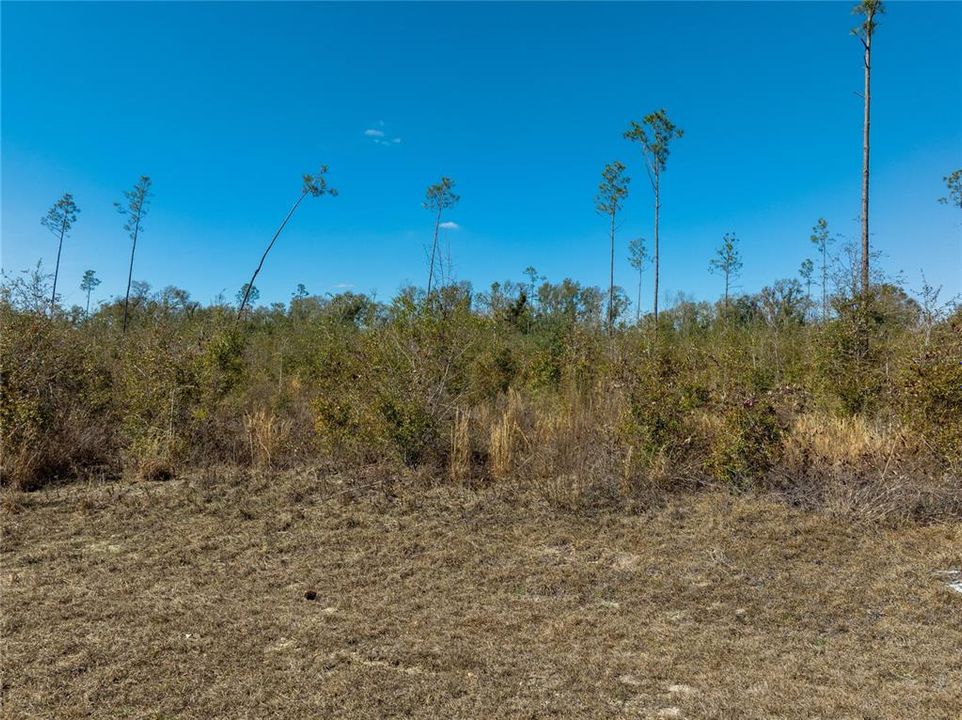 待售: $47,999 (4.97 acres)