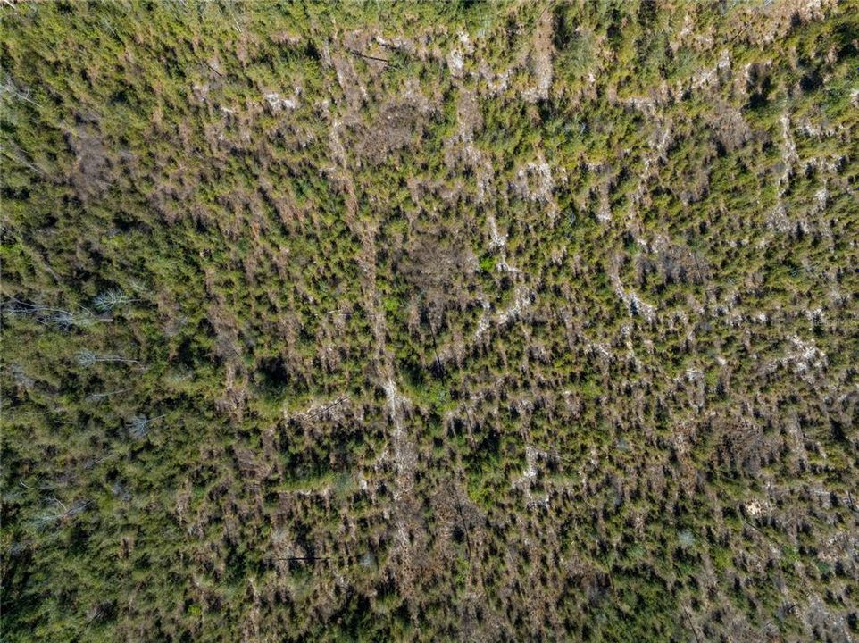 待售: $47,999 (4.97 acres)