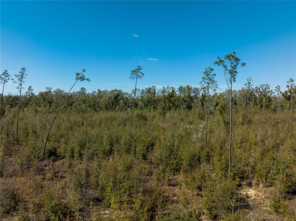 待售: $47,999 (4.97 acres)