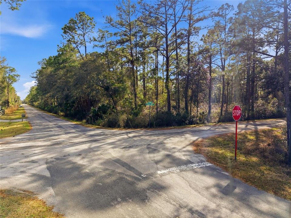 На продажу: $38,000 (1.16 acres)