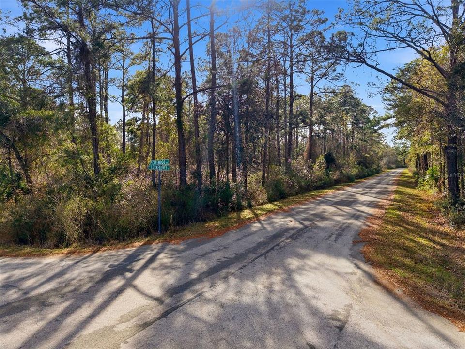 На продажу: $38,000 (1.16 acres)